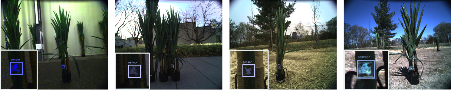 Sensor Detection Example
